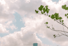 Найкращі місця в Х’юстоні, які повинен відвідати кожен