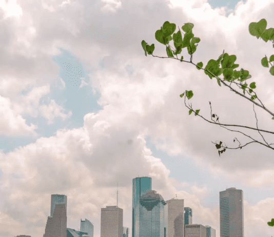 Лучшие места в Хьюстоне, которые должен посетить каждый