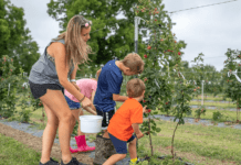 Подивитися на тварин і насолодитися проведенням часу на свіжому повітрі: контактні зоопарки та сільськогосподарські ферми в Х’юстоні