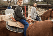 Найпопулярніші та найцікавіші ферми в Х’юстоні