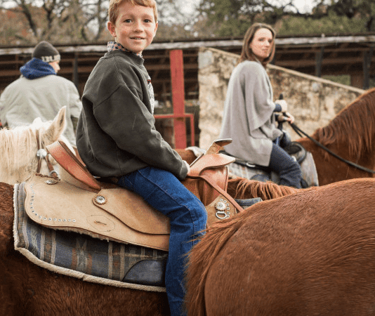 Самые популярные и интересные фермы в Хьюстоне