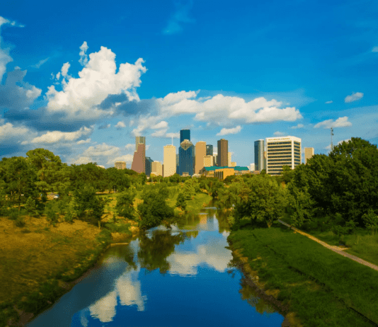 Что выращивают в Хьюстоне: самые популярные растения в регионе