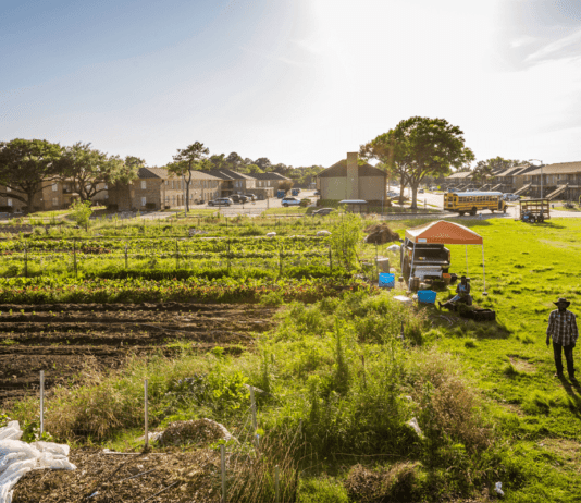 О климате и сельском хозяйстве в Хьюстоне
