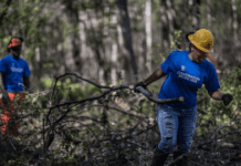 Екологічна освіта та просвіта в Х’юстоні: с