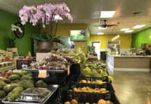 Exotic Fruit Business. The opening of Linda’s Tropical Fruits shop in Houston