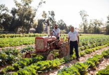 10 organic farms near Houston