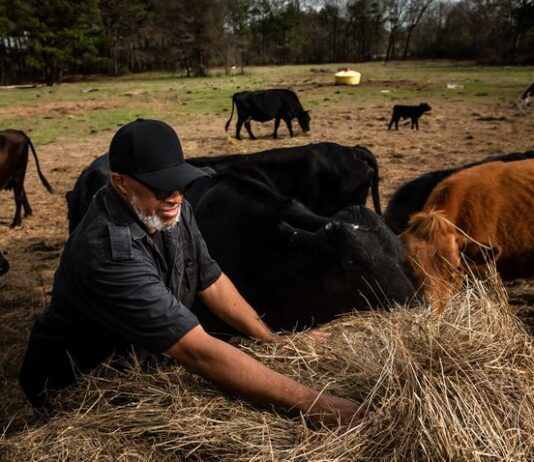 Evolution of Texas agriculture from early farming to innovative agrarian technologies