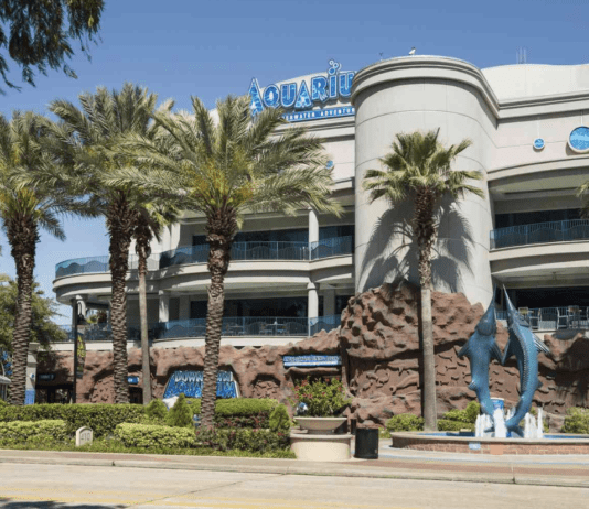 Хьюстонский центральный аквариум