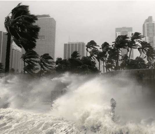 Hurricane Alicia of 1983: Impact on Houston