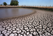 Battling the Burn: How Houston Fights Drought and Excessive Heat