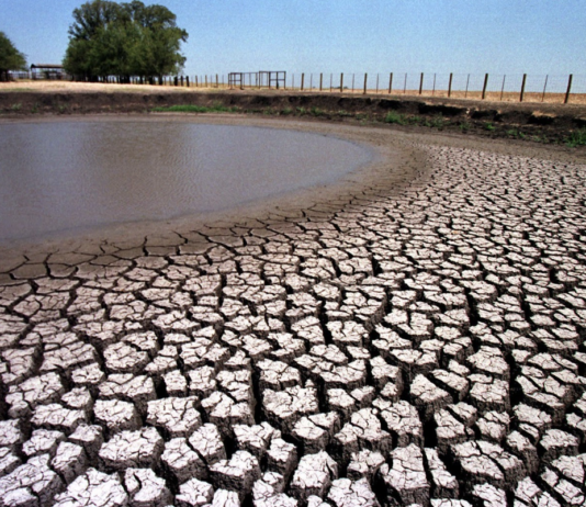 Як у Х’юстоні борються із засухою та надмірною спекою