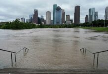 After “Harvey” and “Beryl”: How Natural Disasters Are Changing Houston’s Environmental Policy