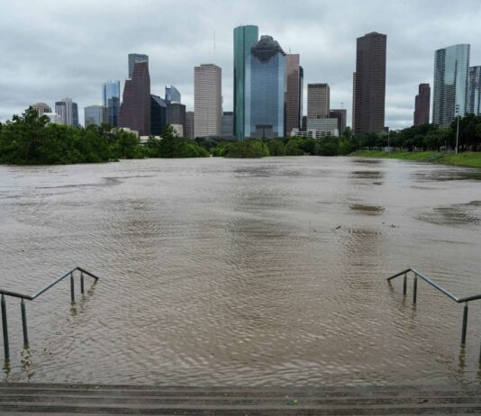 After “Harvey” and “Beryl”: How Natural Disasters Are Changing Houston’s Environmental Policy