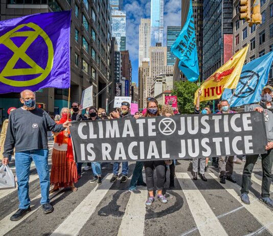 Community Activism and the Environment: How Houston Residents Are Fighting for a Clean Future