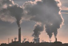 The Fight for Clean Air: Sources of Pollution and Control in Houston