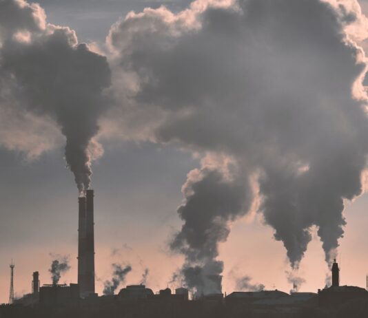 The Fight for Clean Air: Sources of Pollution and Control in Houston