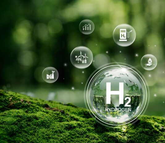 Houston at the Crossroads: From Black Gold to Green Fuel