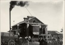 The Invisible Flow: How Air and Engineering Philosophy Funded the American Future
