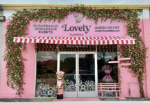 Lovely Flowers