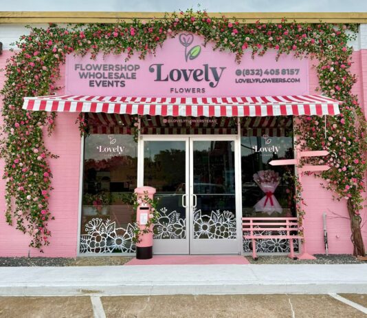 Lovely Flowers
