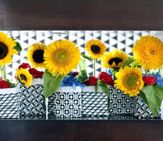 Scent & Violet